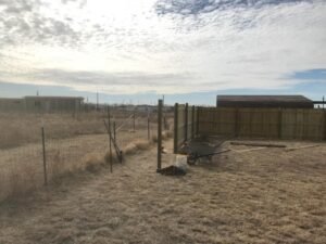 IMG_20240506_184353